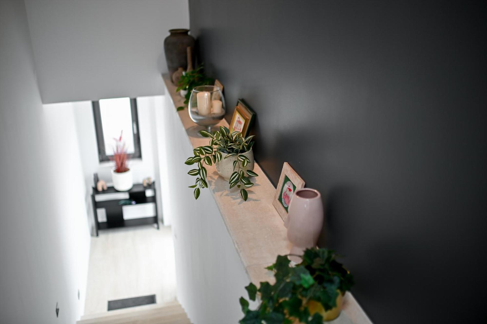 Big Sky Apartmani 扎达尔 外观 照片